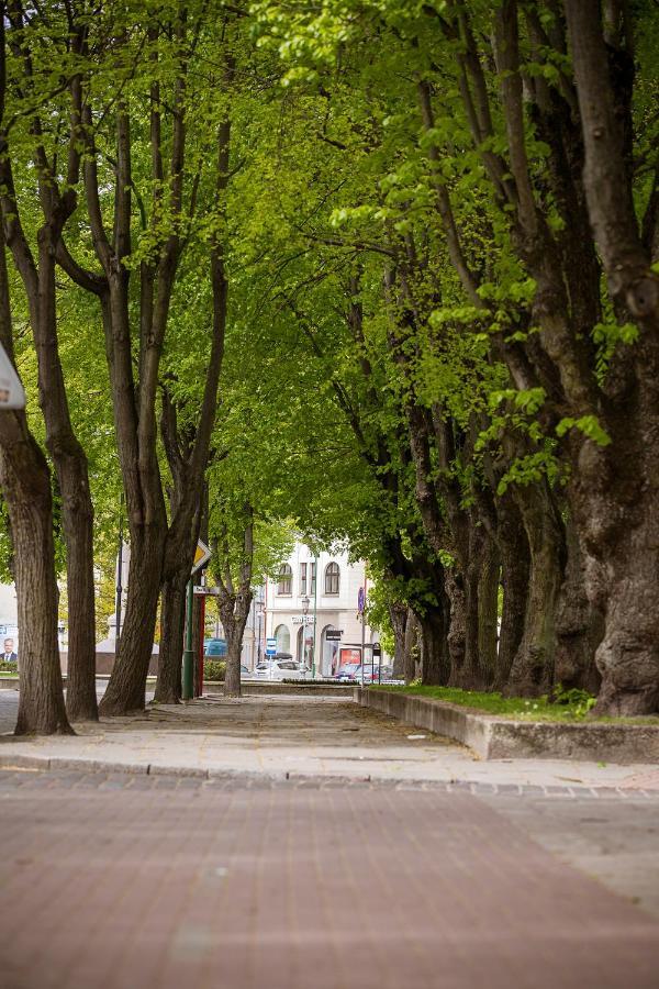 Dvieju Kambariu Butas Klaipedos Centre Apartment Klaipeda Bagian luar foto