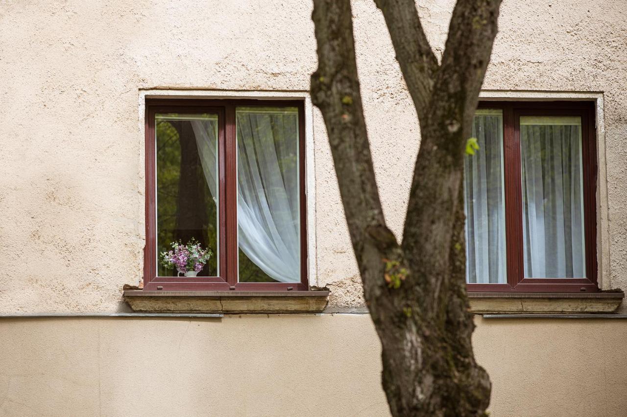 Dvieju Kambariu Butas Klaipedos Centre Apartment Klaipeda Bagian luar foto